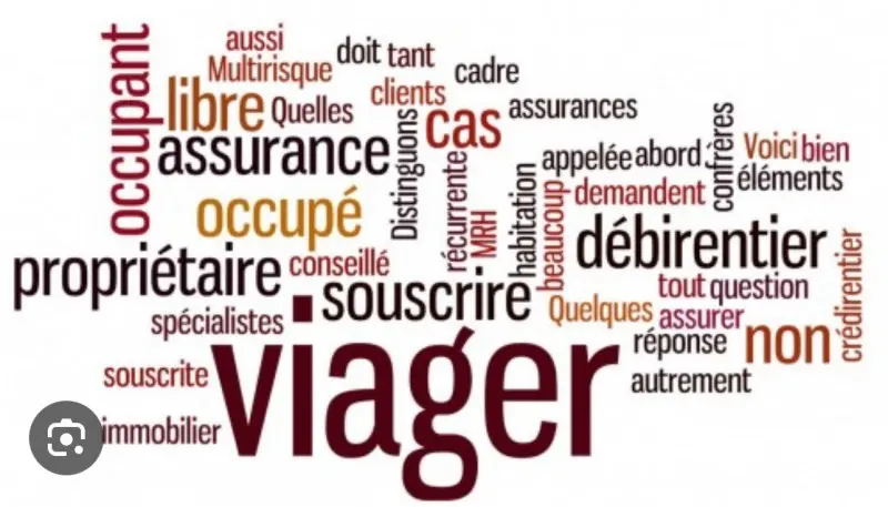 Le mot "viager"