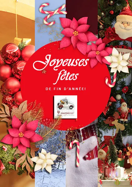 TOUTE L'EQUIPE DE LA SOVAGIM VOUS SOUHAITE UN JOYEUX NOEL