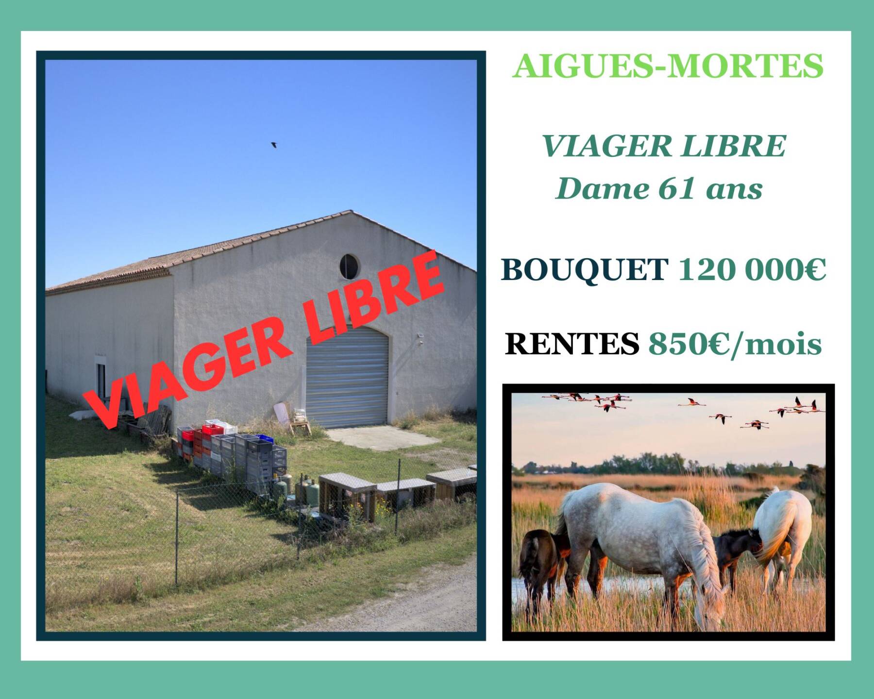 Hangar en viager libre