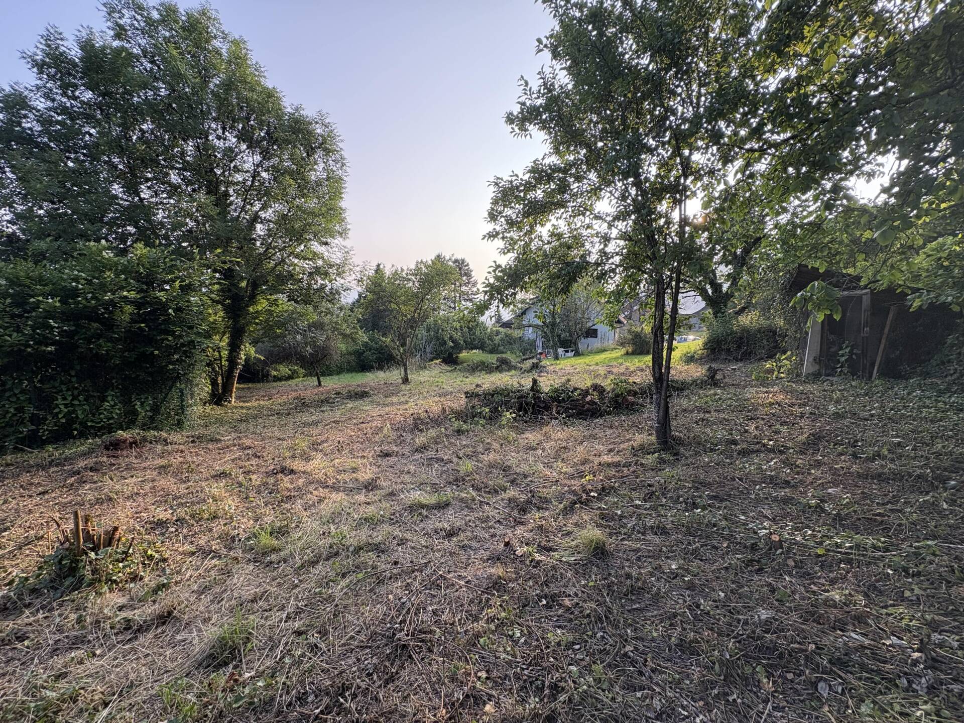 Terrain constructible