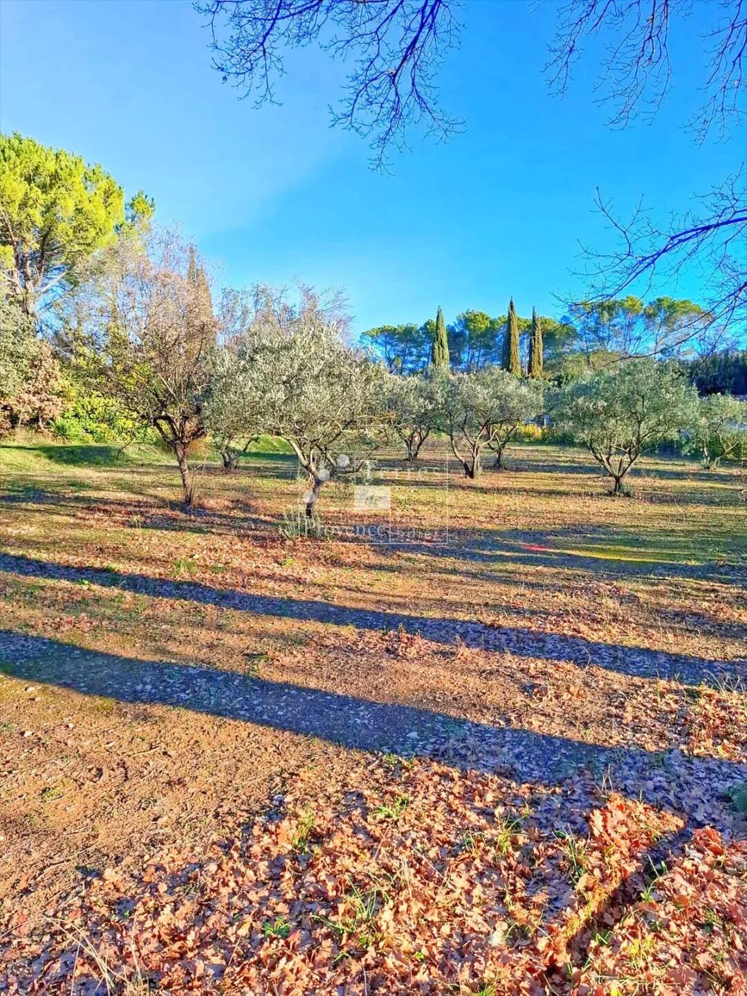 VILLECROZE – Magnifique terrain 10 313 m², permis accordé, cadre nature & proximité village