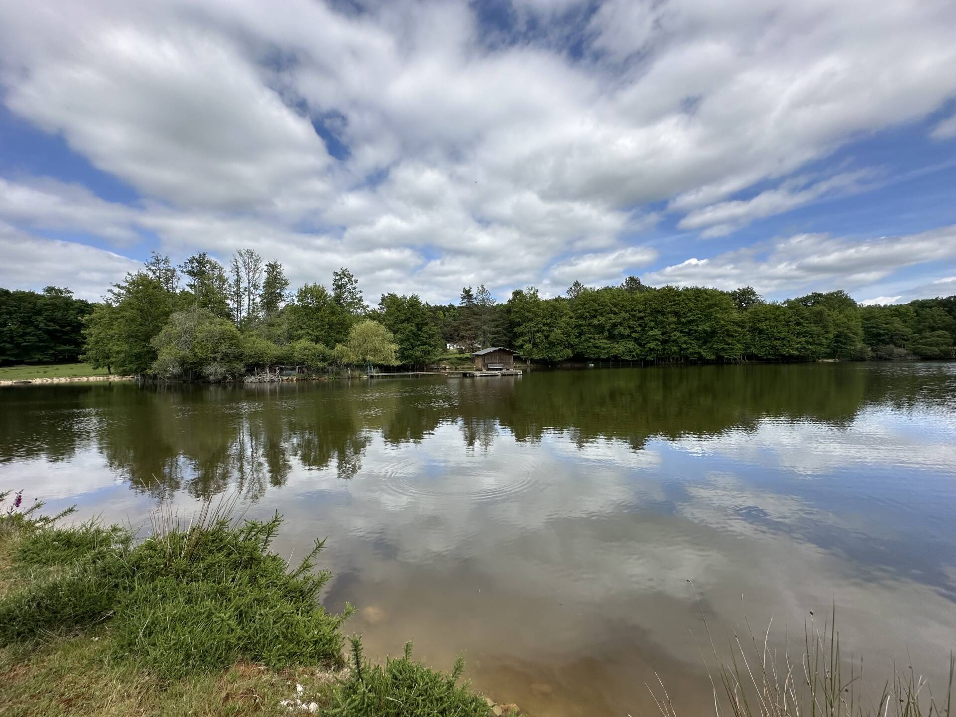 PROPRIÉTÉ EN VENTE À TERME OCCUPÉE