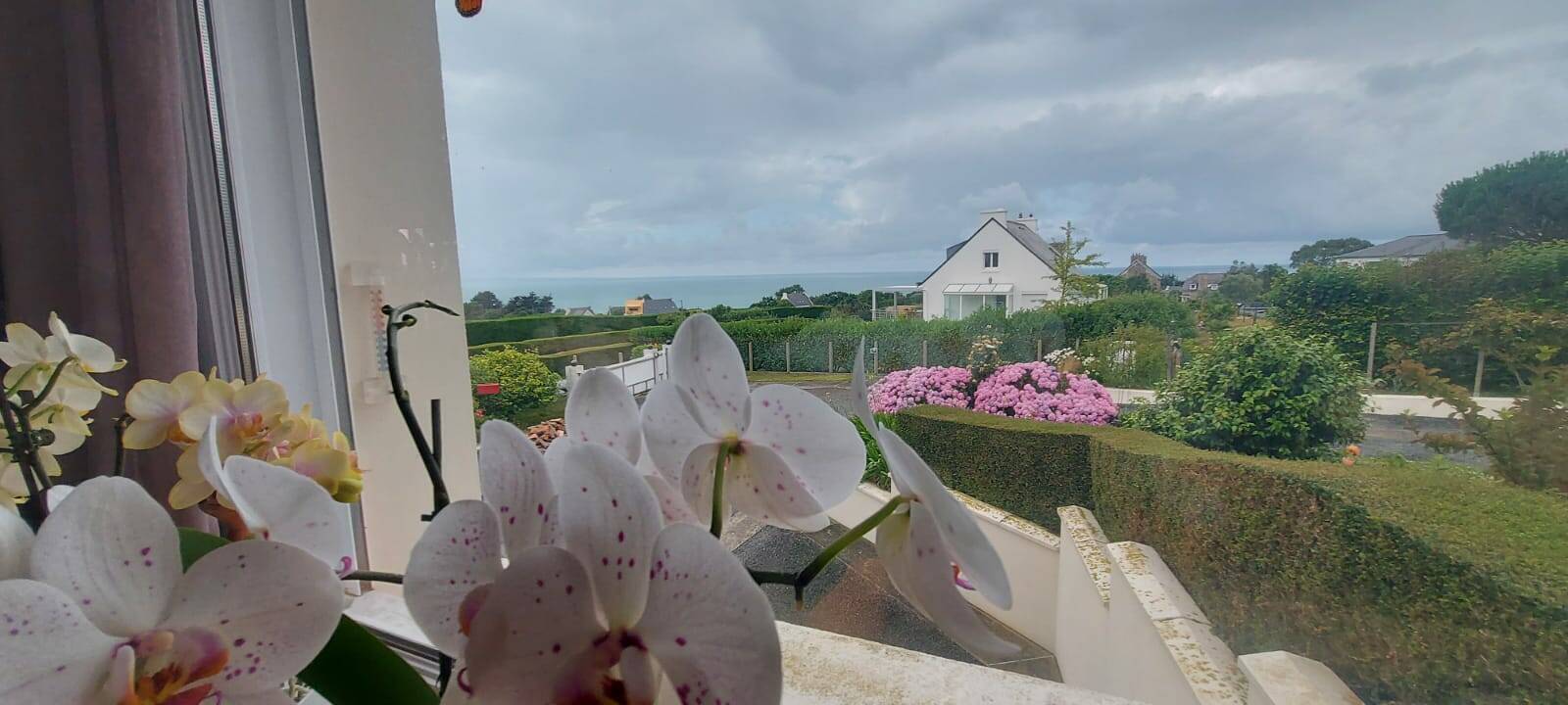 Maison individuelle en Vente à Terme occupée OU Viager Occupé