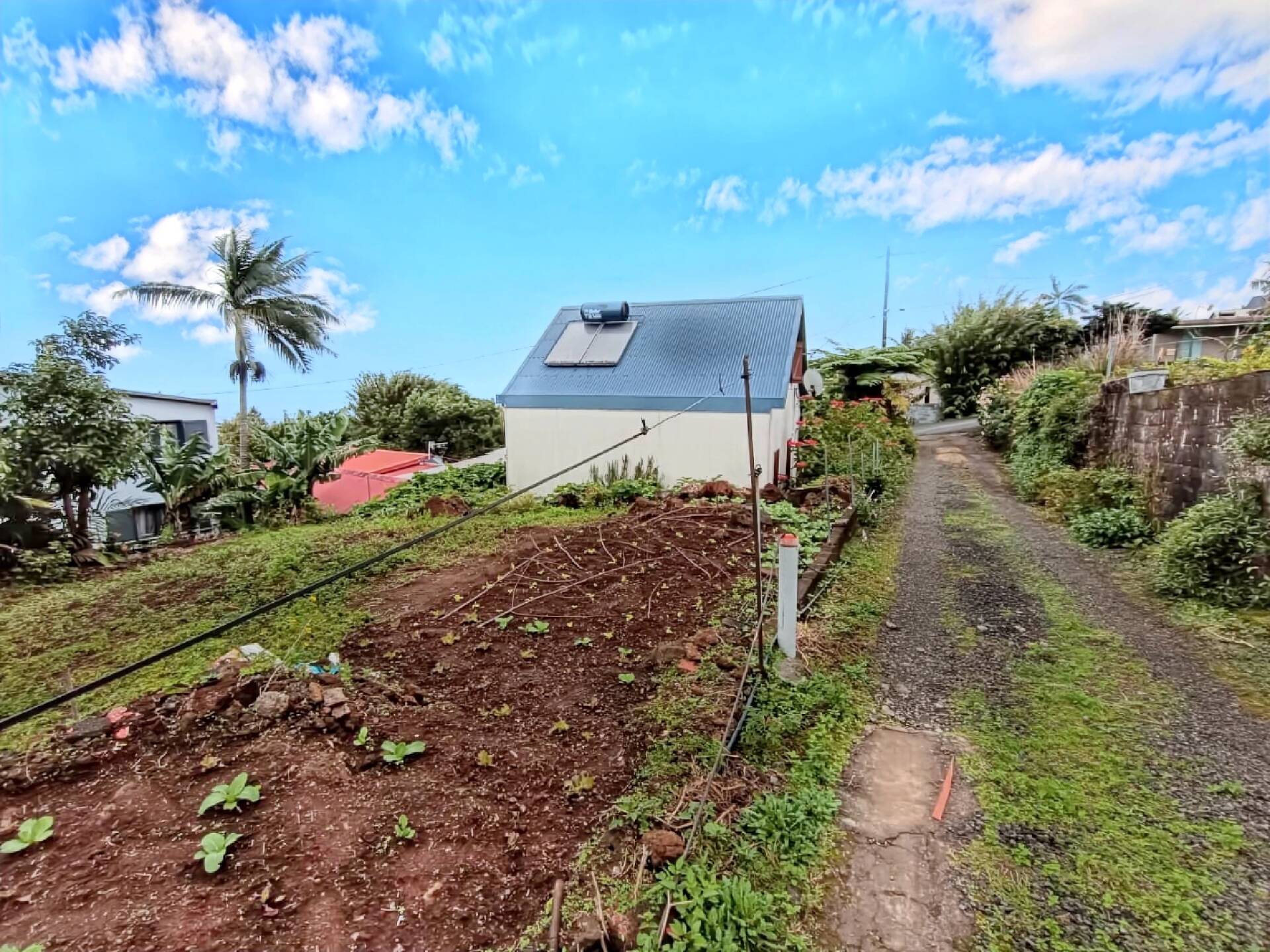 TERRAIN de 252 m2 ST JOSEPH J. PETIT