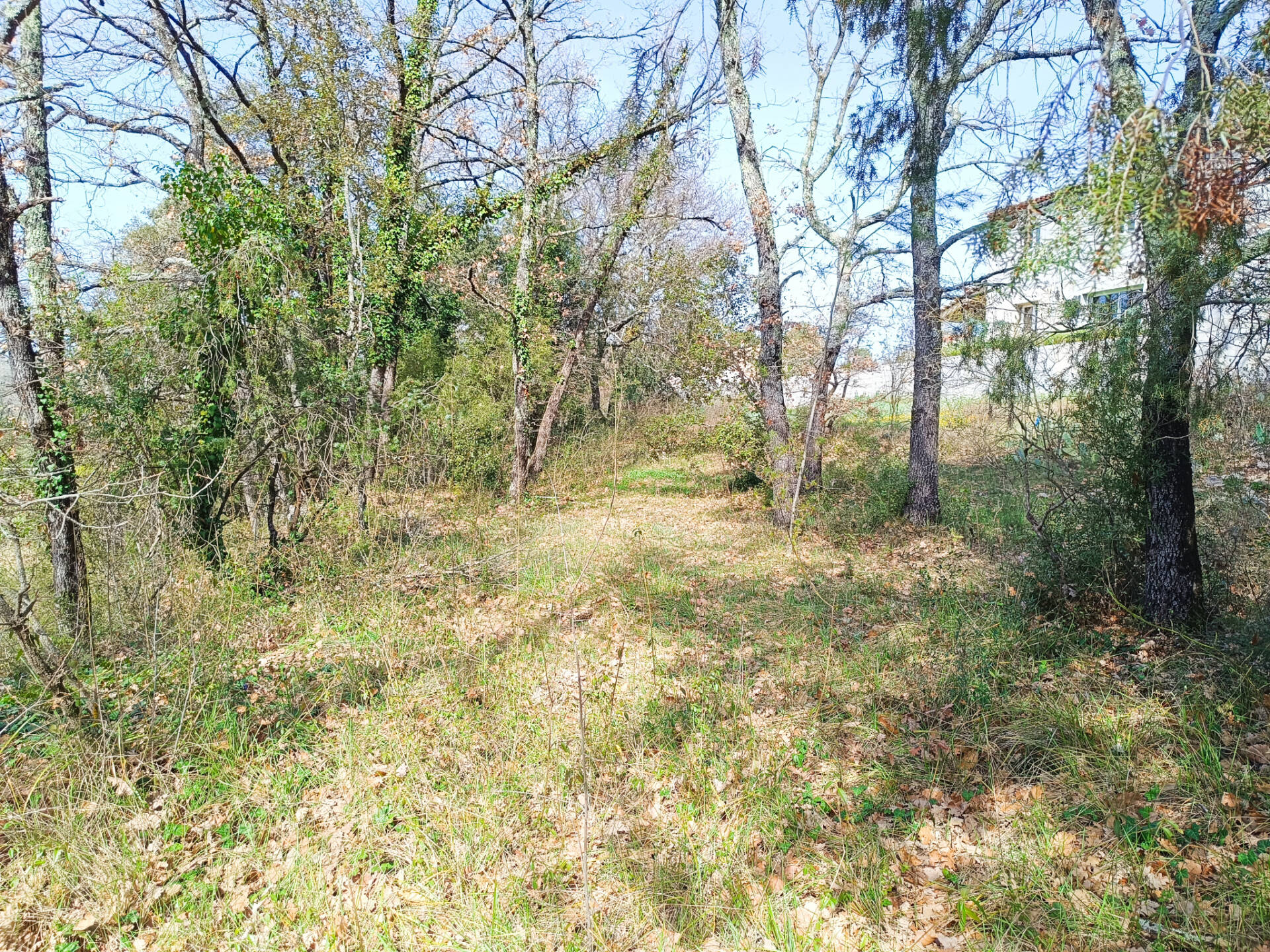 Terrain à Fox-Amphoux