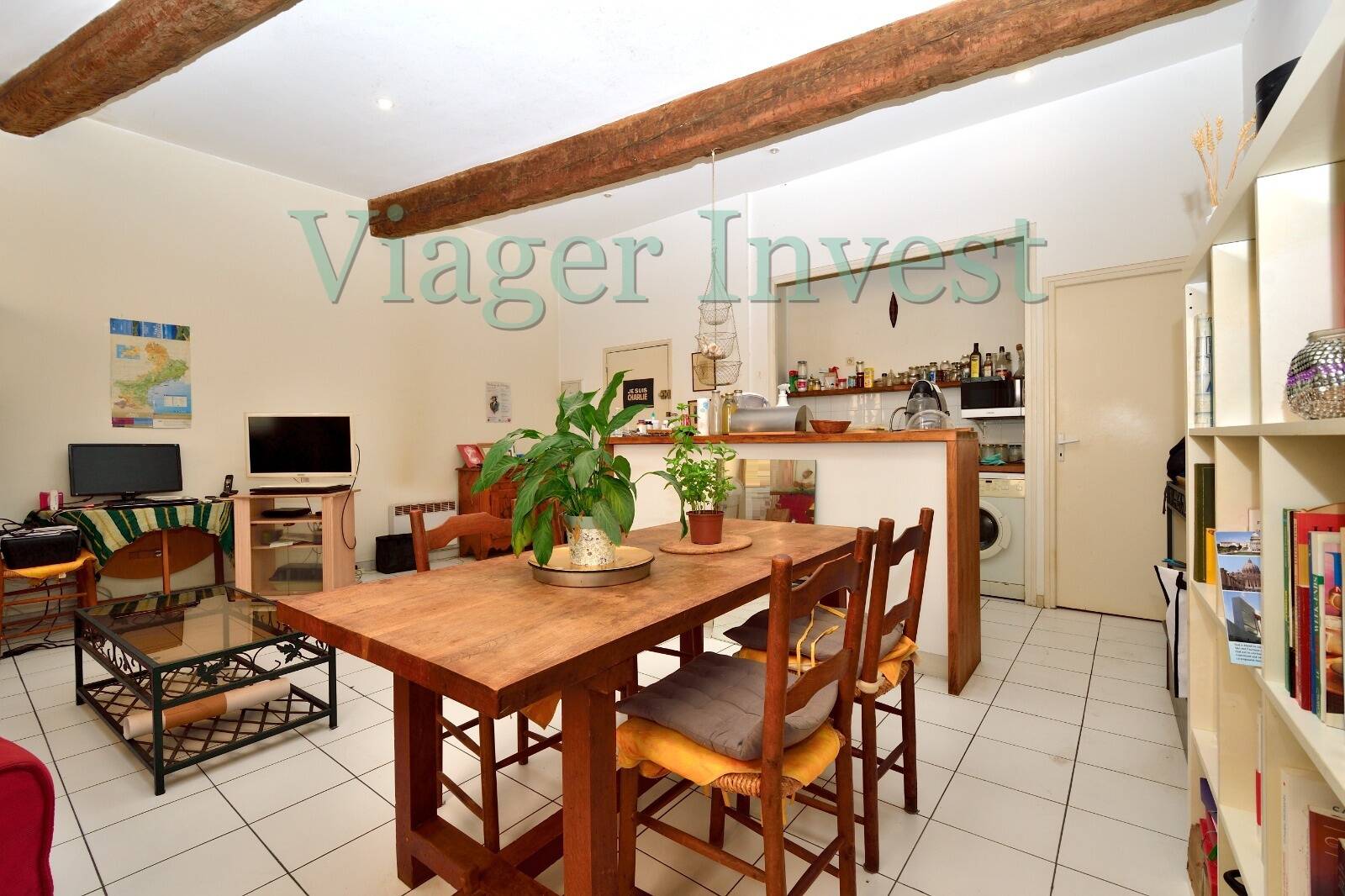 VIAGER OCCUPÉ BOUQUET UNIQUE NIMES