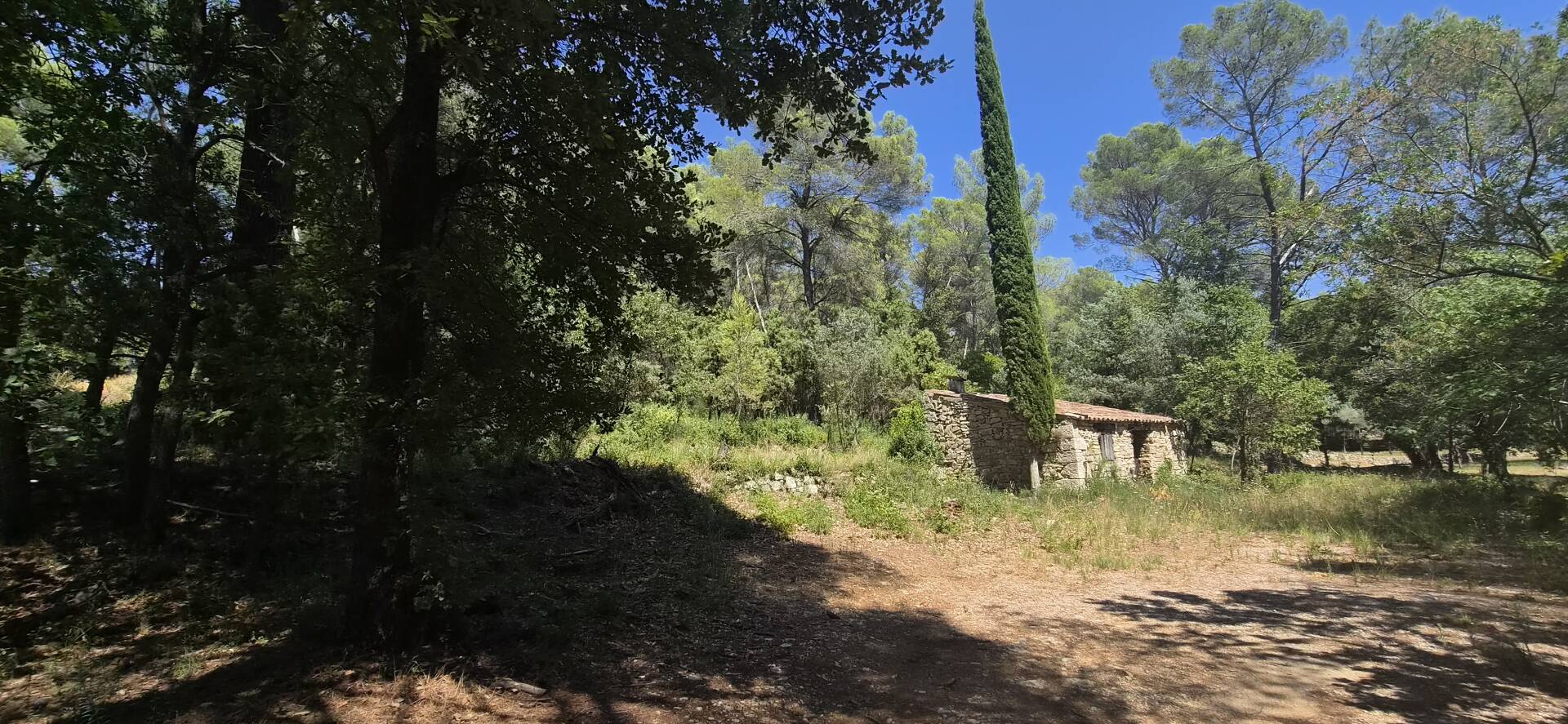 Terrain de 7000m² avec cabanon et 1100m² de