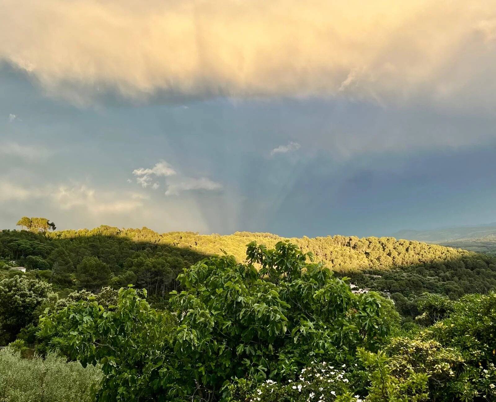 VILLA DE CHARME COTIGNAC- ESPRIT MAISON D'ARTISTE