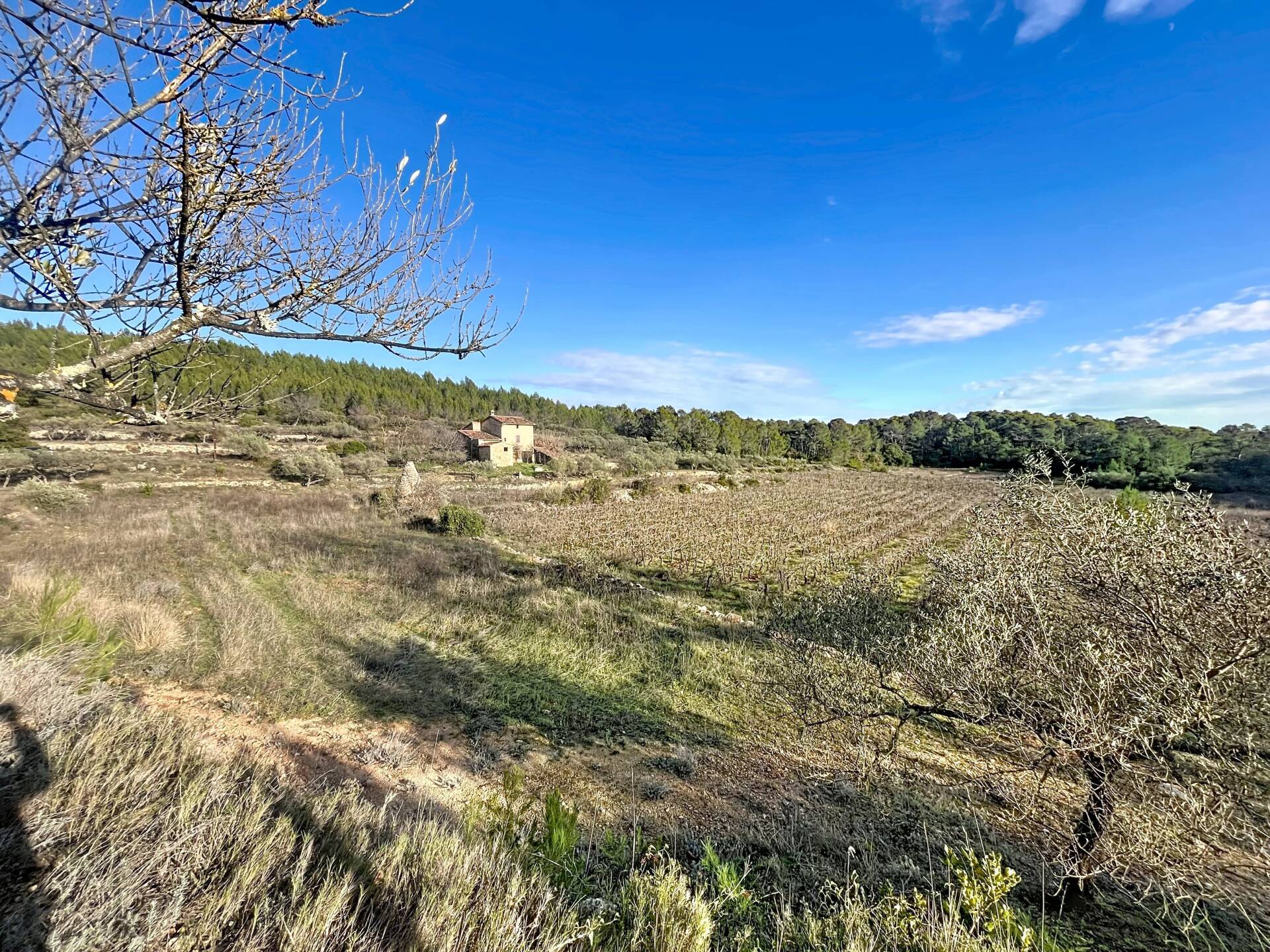 Domaine de 8,3 ha avec Bastide du XIXe à rénover – Cotignac
