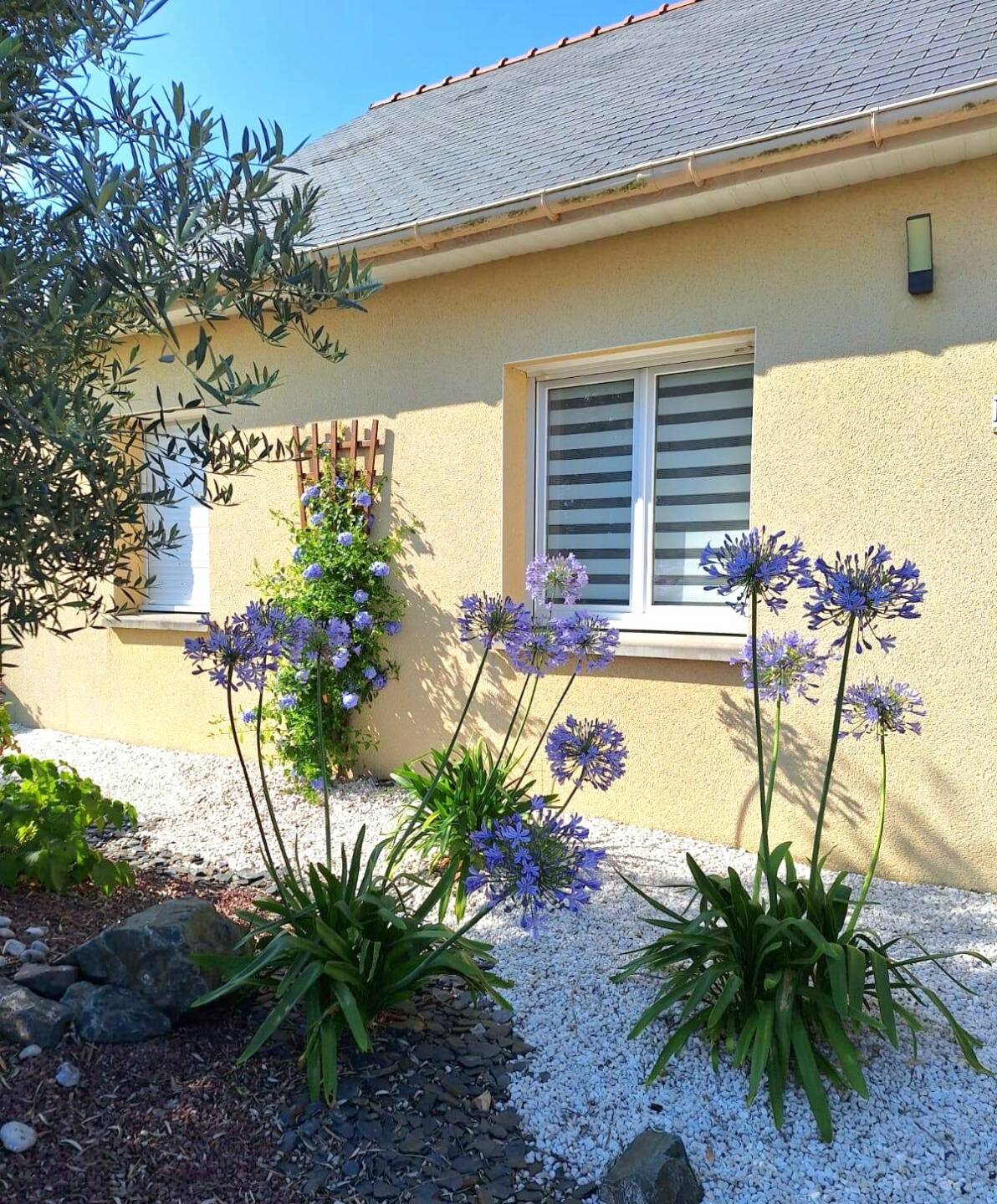 Maison de plain-pied, en viager occupé, aux prestations de qualité, SAINT MARS LA JAILLE