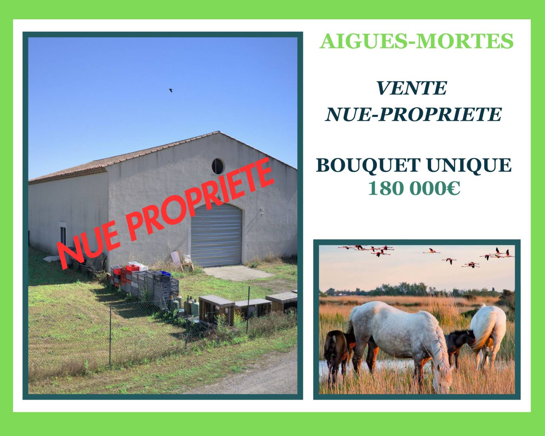 Hangar en Nue-Propriété