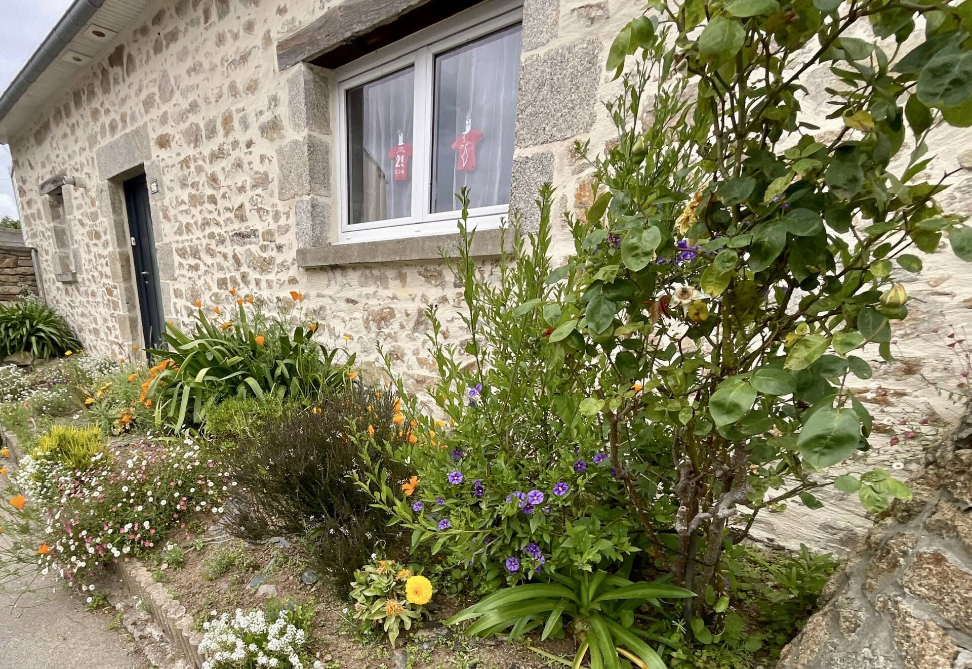 VIAGER OCCUPÉ À PLOUVIEN