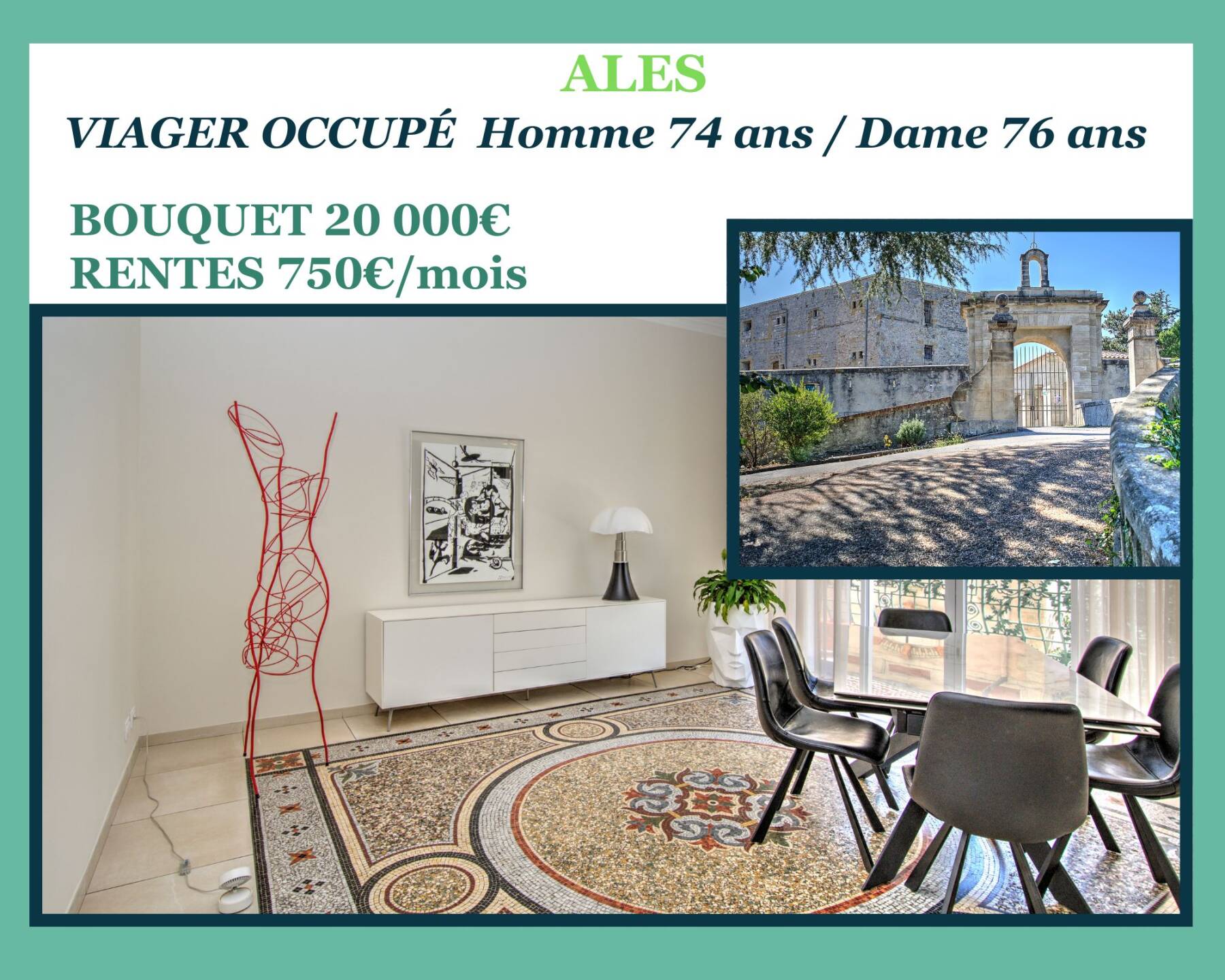 Bel Appartement en Viager Occupé – ALÈS CENTRE