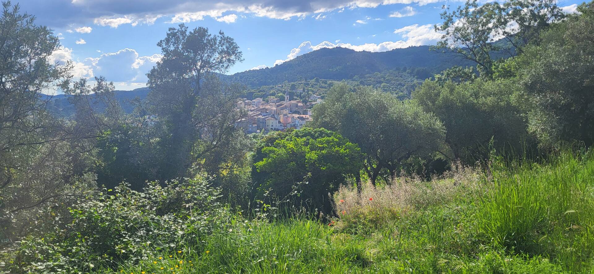 Terrain avec potentiel constructible.