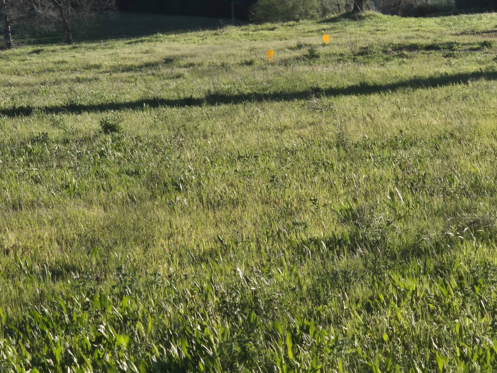 TERRAIN A BATIR SALERNES 1067 m²