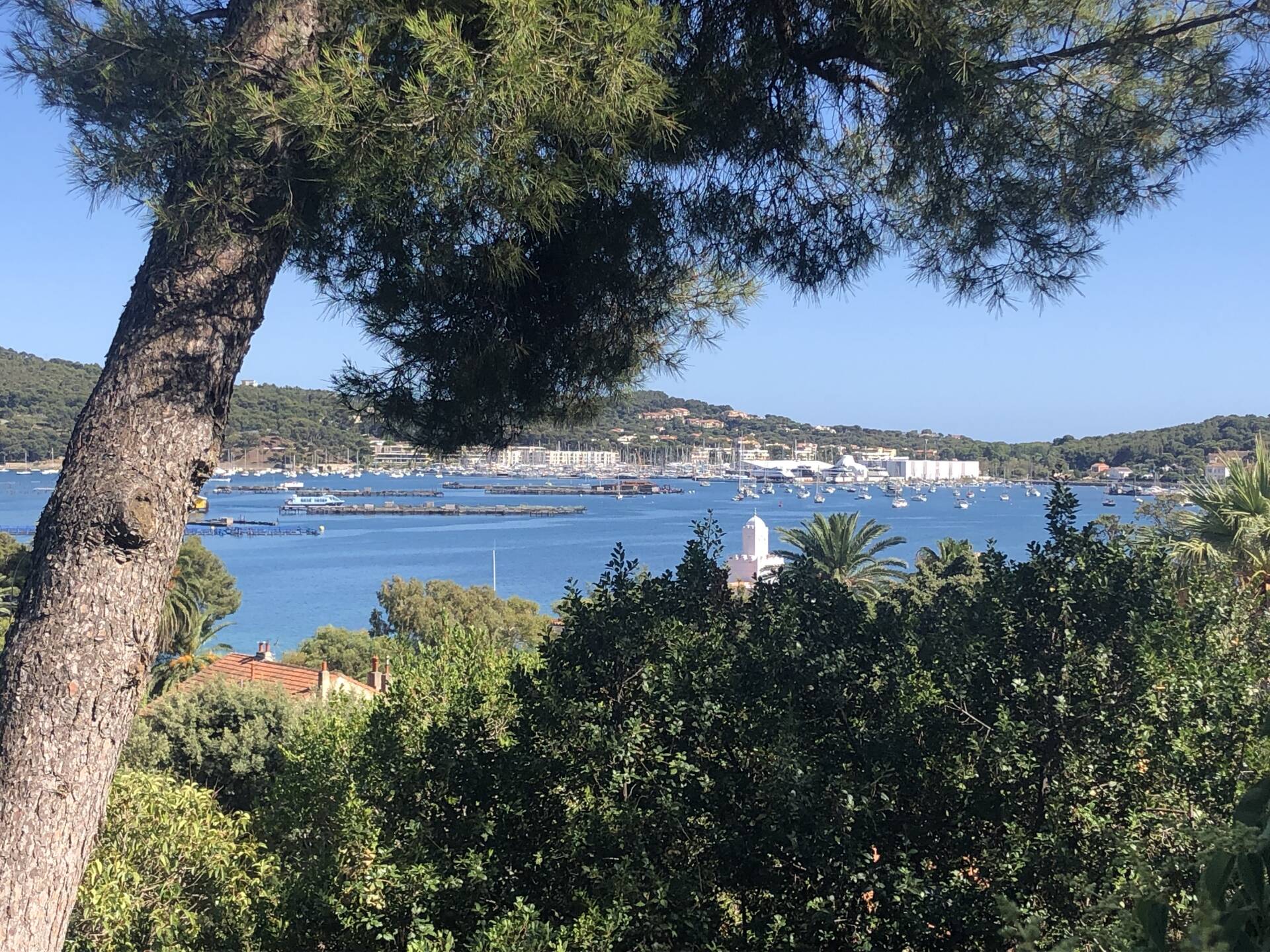 A LOUER - SEYNE SUD - TAMARIS - T2 Meublé de 38m² dans résidence standing