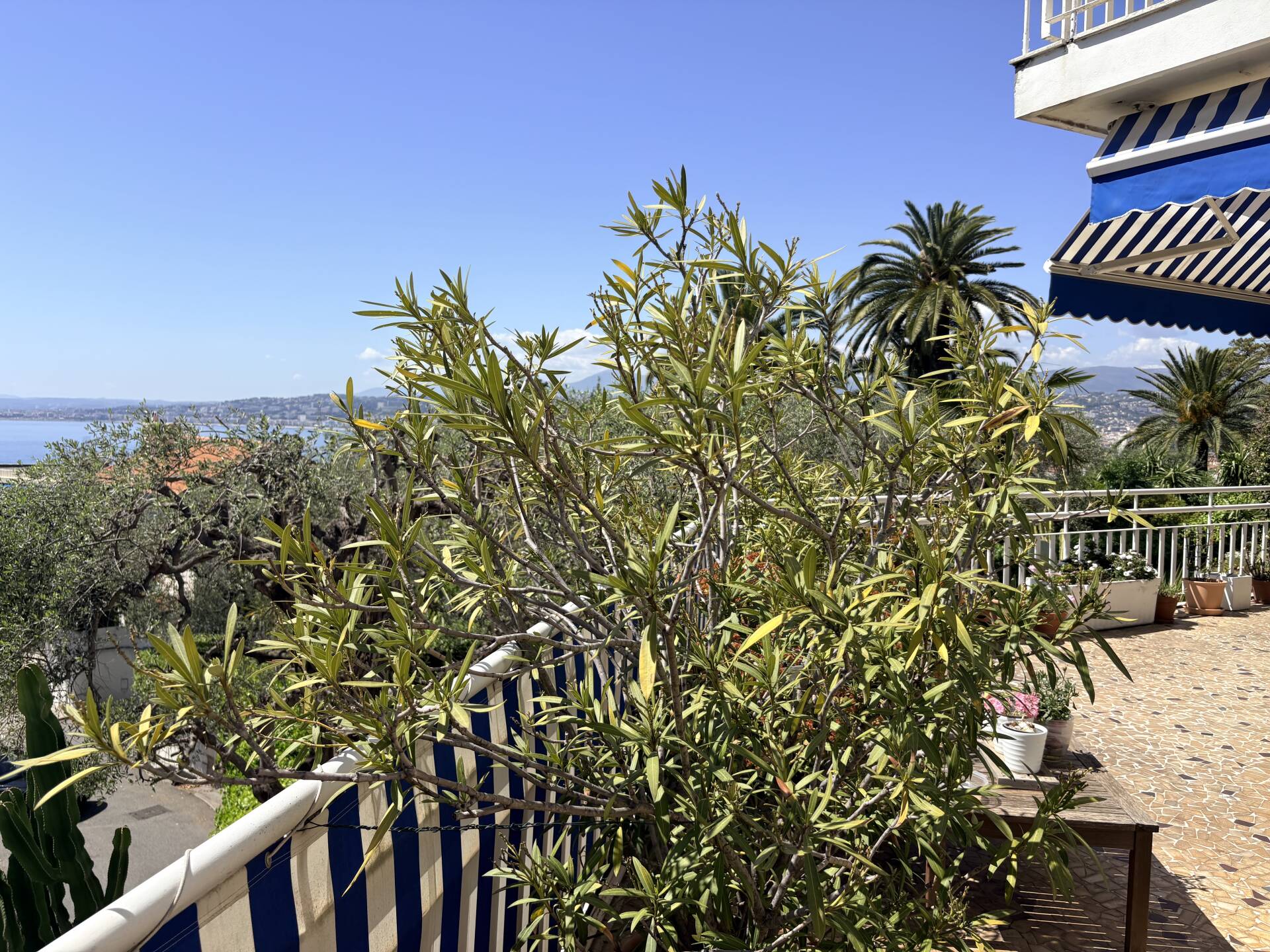 Appartement  - 3 pièces  - 80.38 m² -  780 000 € - À vendre 
