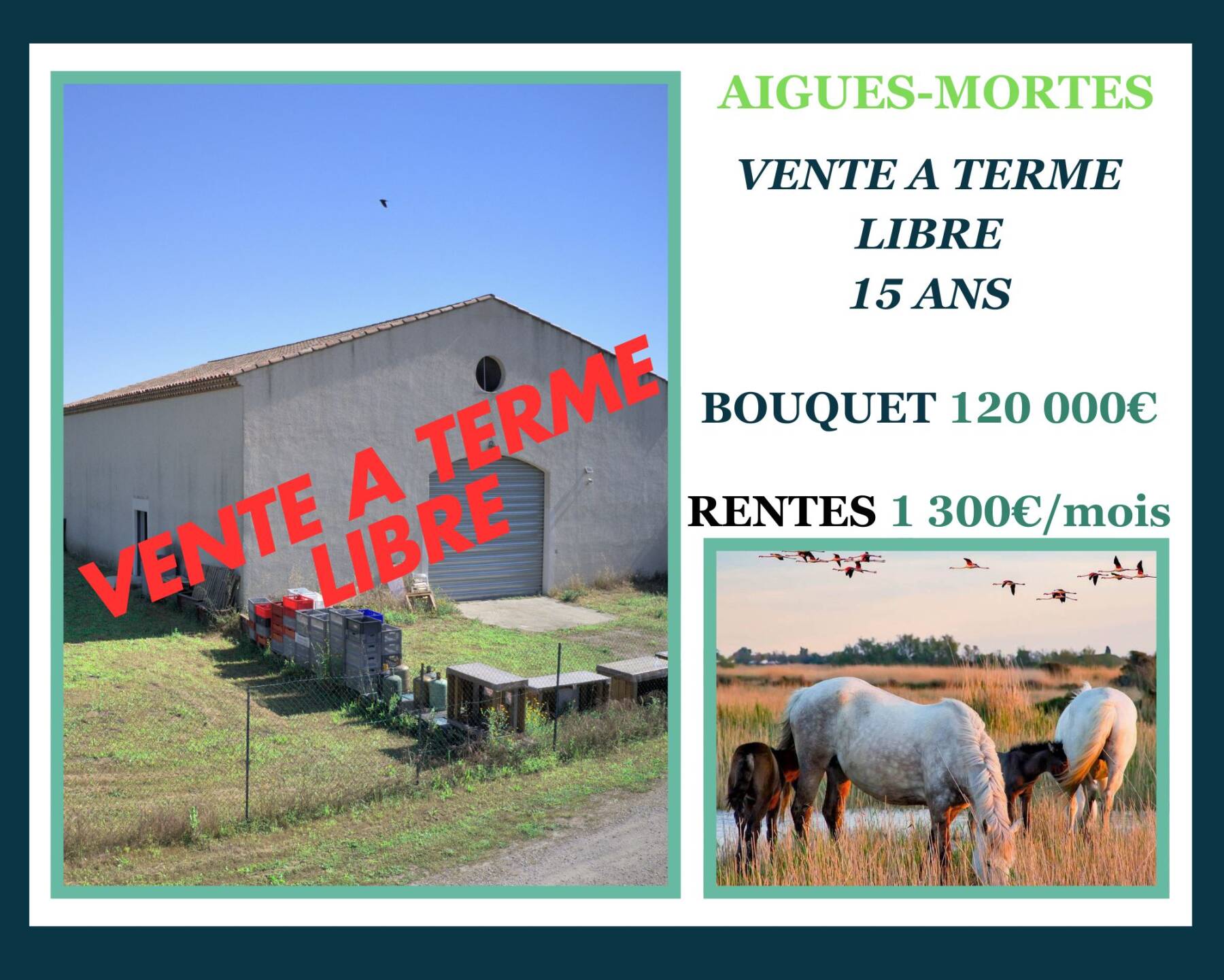 Hangar en Vente à Terme Libre