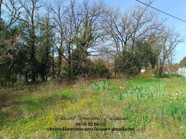 Photo de 