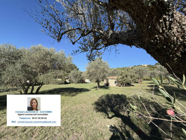 Terrain à Moissac-Bellevue