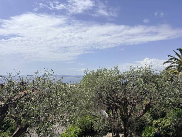 Photo de 