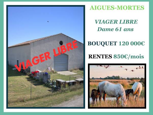 Hangar en viager libre