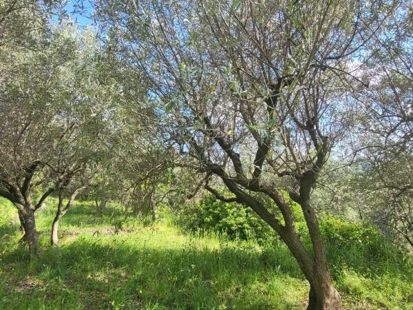 Photo de 