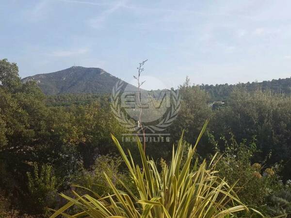 Photo de 