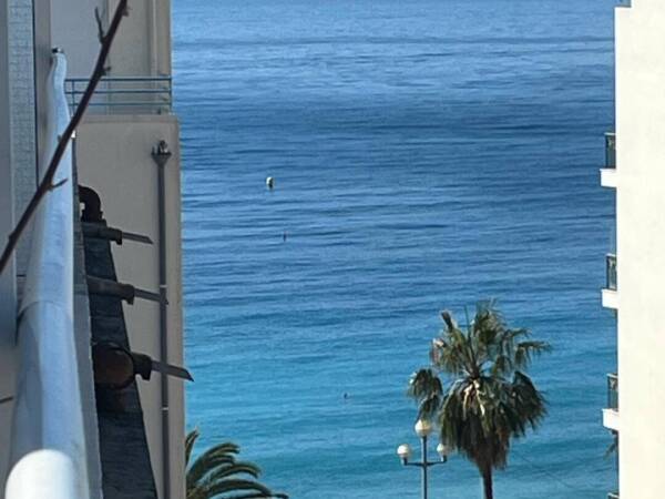 Appartement  - 2 pièces  - 31.4 m2 -  395 000 € - À vendre 