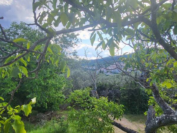 Photo de 