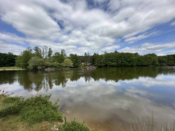 PROPRIÉTÉ EN VENTE À TERME OCCUPÉE