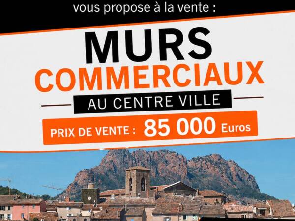 MURS COMMERCIAUX A VENDRE A ROQUEBRUNE SUR ARGENS (83520)