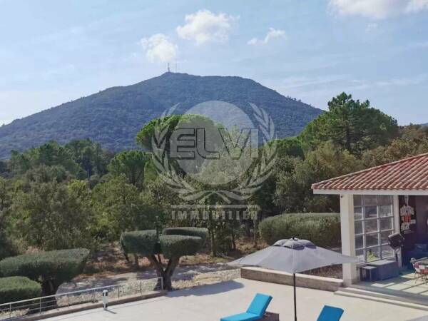Photo de 