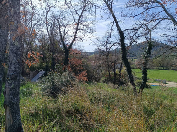 Photo de 