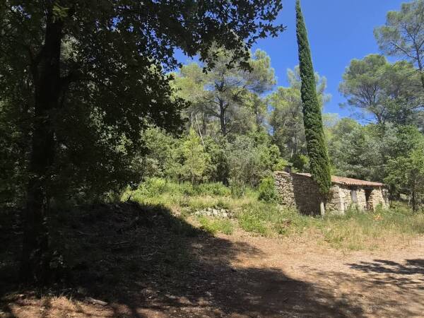 Terrain de 7000m² avec cabanon et 1100m² de