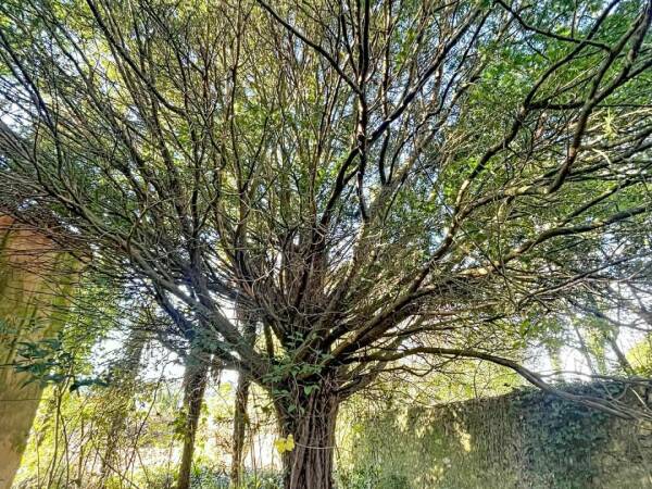 Terrain constructible à Correns, 1292 m², emplacement idéal