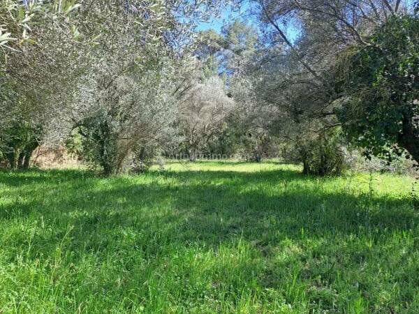 Photo de 