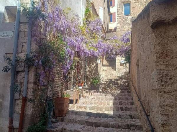 Maison à Callas (83830)