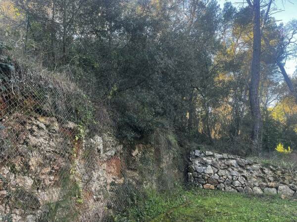 Photo de 
