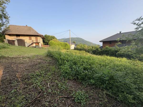 Photo de 