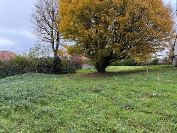 Terrain Ennetières, 525m² viabilisé