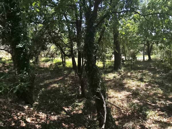 Photo de 