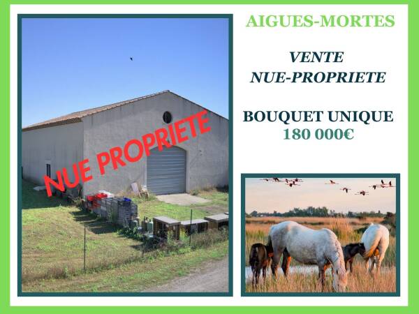 Hangar en Nue-Propriété