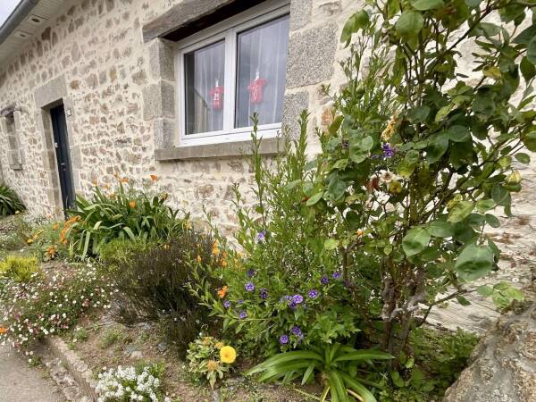 VIAGER OCCUPÉ À PLOUVIEN