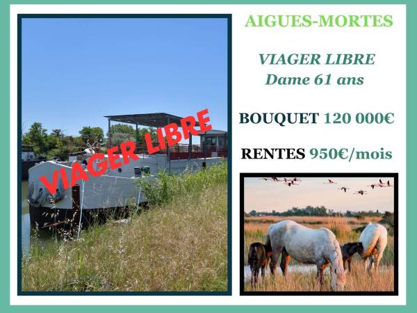 Péniche en Viager Libre