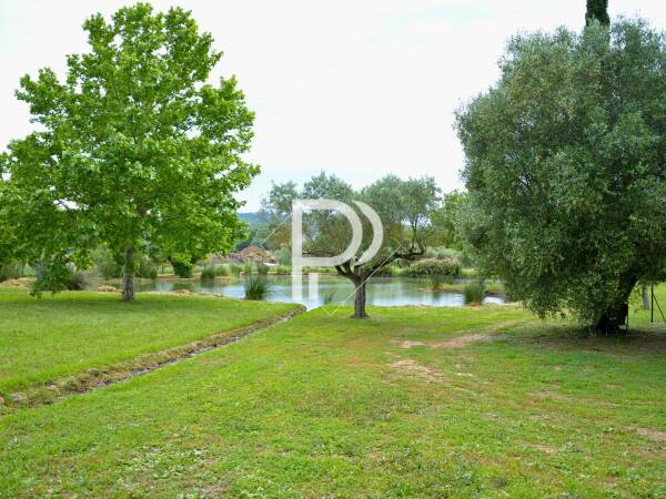 Photo de 