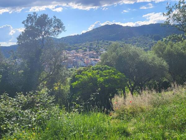 Terrain avec potentiel constructible.