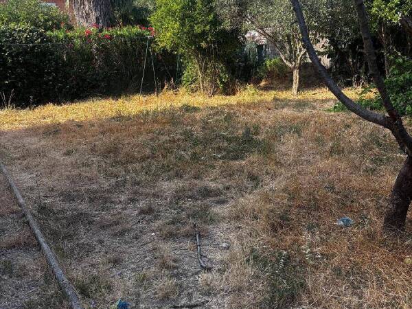 Photo de 
