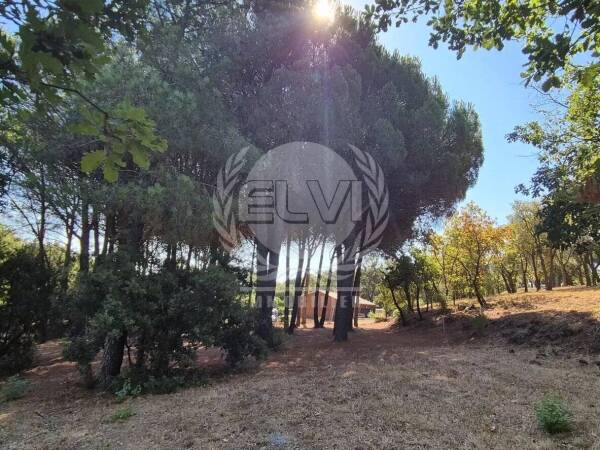 Photo de 