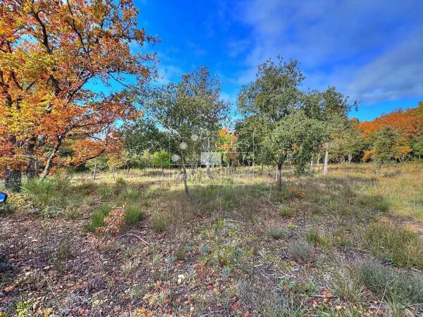 Terrain à batir 2250m² Baudinard sur Verdon